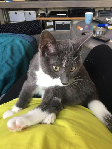 Van klein naar groot 