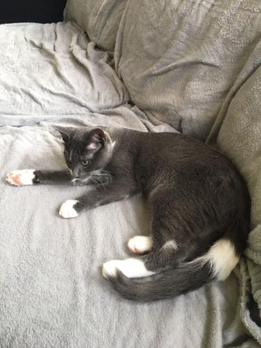 Van klein naar groot 