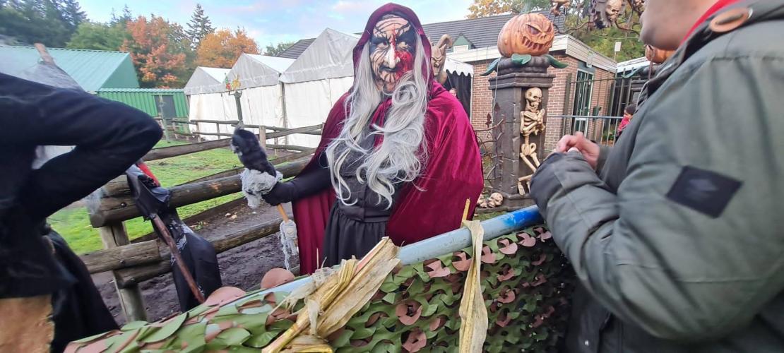 Halloween 🎃 👻🦇🧙‍♀️🧙‍♂️