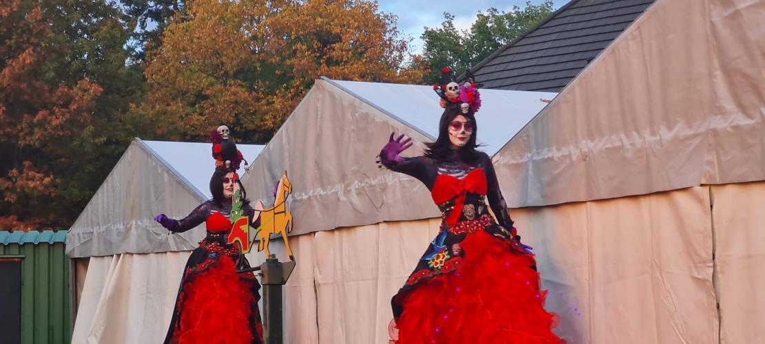 Halloween 🎃 👻🦇🧙‍♀️🧙‍♂️