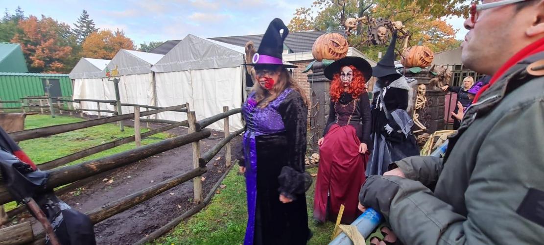 Halloween 🎃 👻🦇🧙‍♀️🧙‍♂️