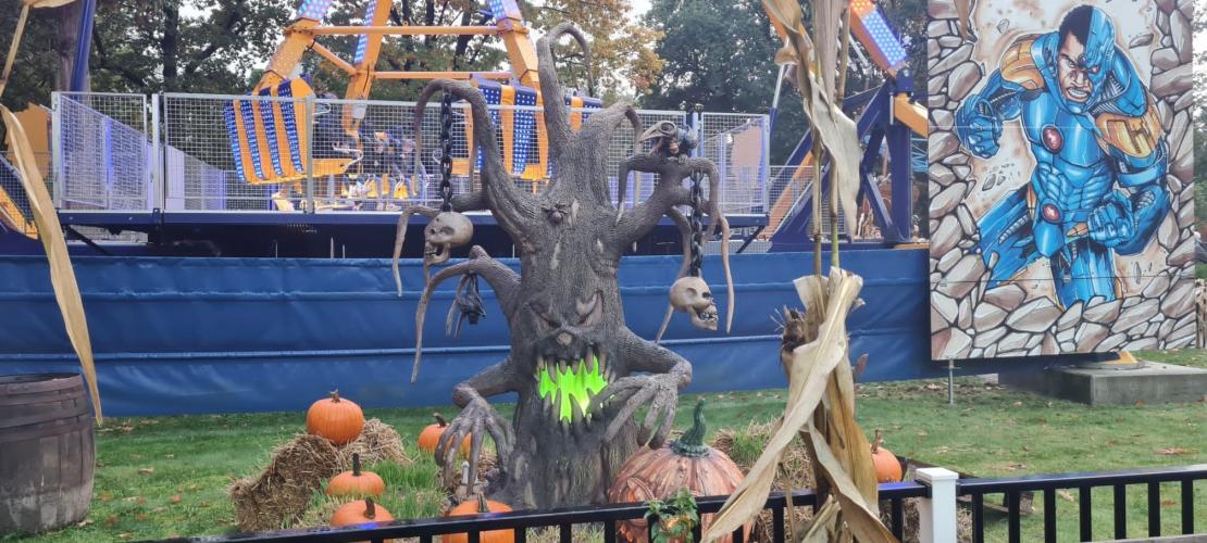 Halloween 🎃 👻🦇🧙‍♀️🧙‍♂️