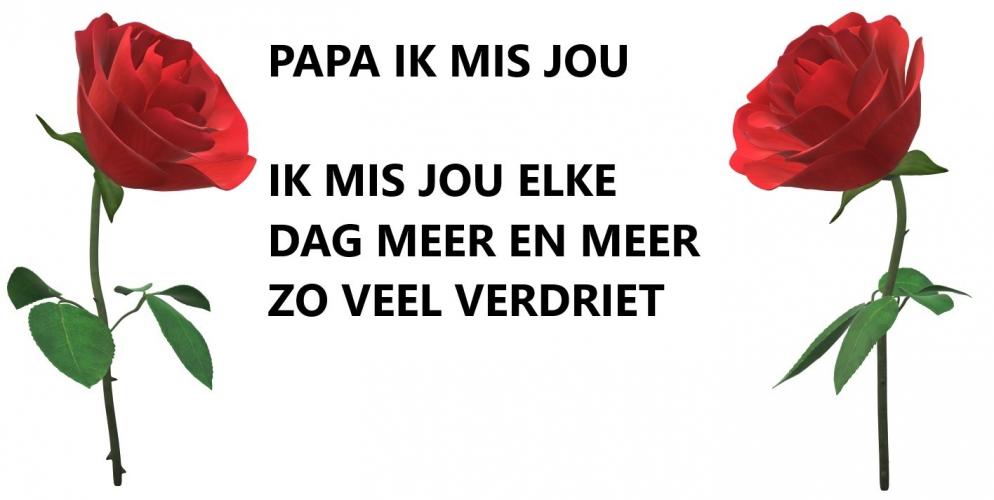 papa ik mis je 