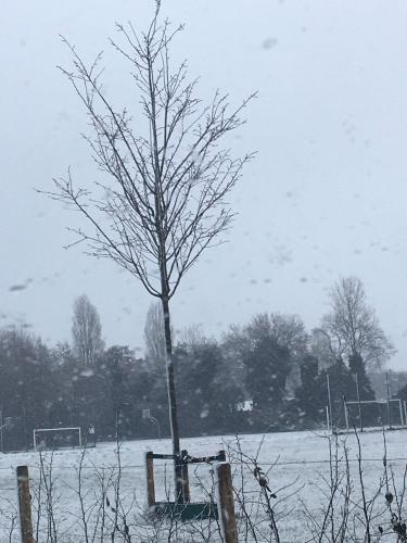 Vandaag winter 