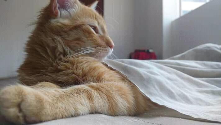 Challenge: 10 Works - My best model 