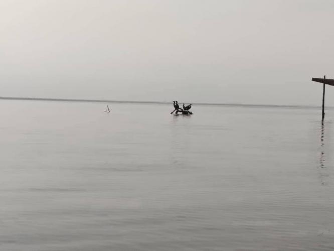 Desde la Orilla de Nuestro Lago