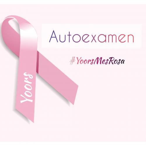 Auto Examen