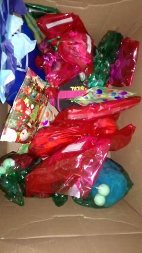 Do you know what sponsoring means?