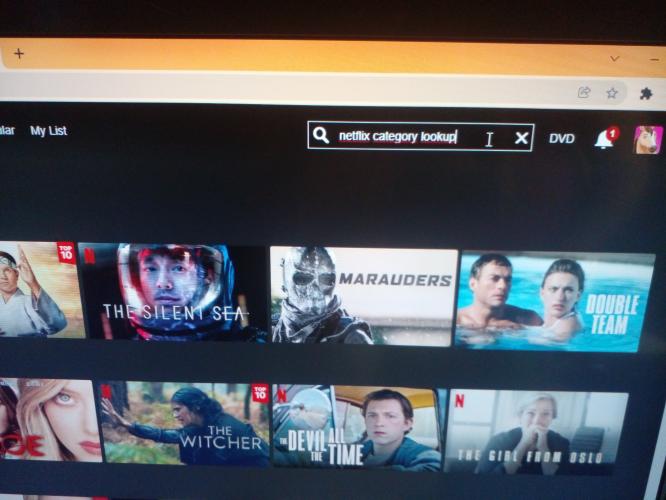 Aprende Como ver las películas ocultas de Netflix en tres pasos. 