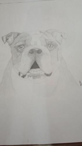 Exhibition of my drawings 