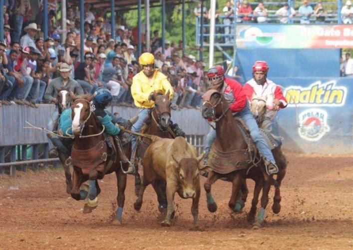 Historia de los Toros Coleados