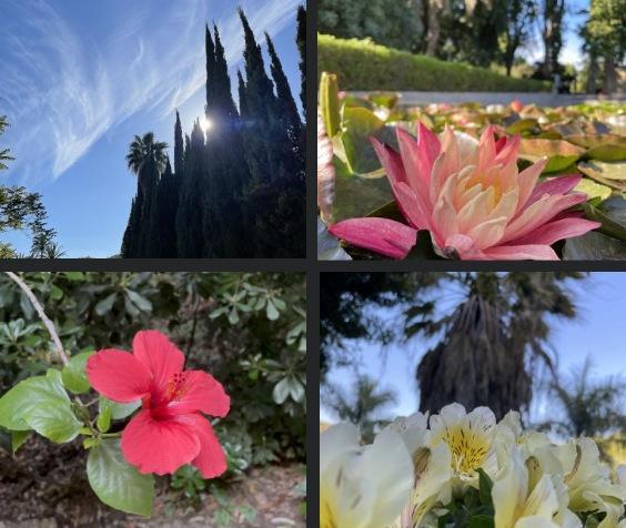 Un paseo inolvidable