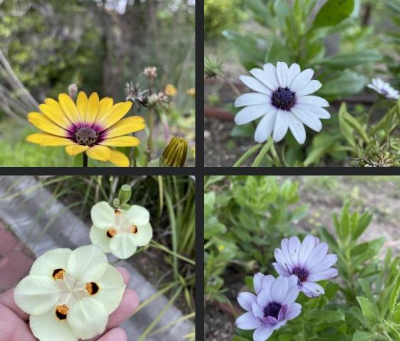 Un paseo inolvidable