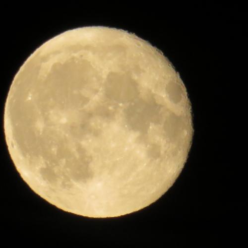 <a class="removable-mention" translate="no" data-mentionid="17227" href="/useroverview/17227/Marion%27s%20World">@Marion's World</a> M'n allereerste maanfoto. Uit de hand