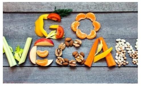   ¿Cómo sería el mundo si todos fuesen Vegano? 