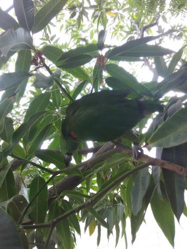 Una Visita muy Particular 