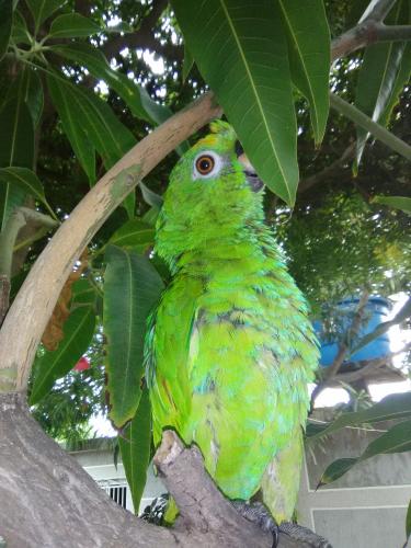 Una Visita muy Particular 