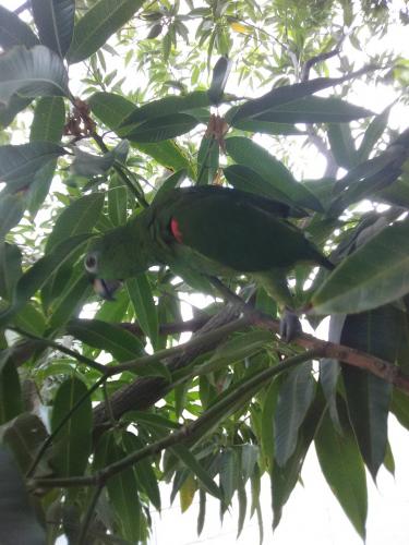 Una Visita muy Particular 