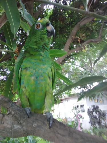 Una Visita muy Particular 