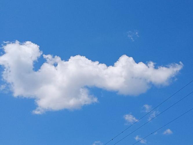 ¿Que es lo que ves?