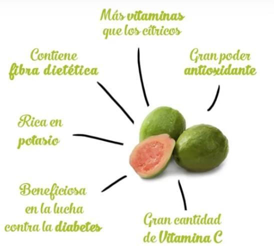 Health Benefits of Guava