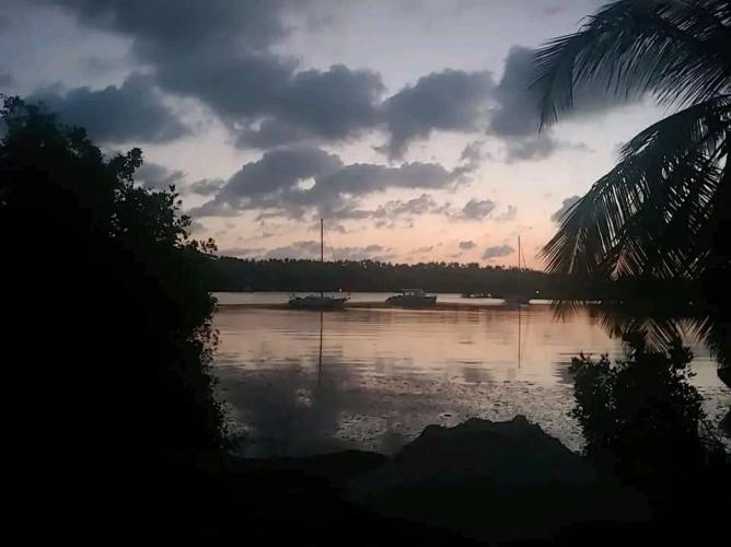 Trópico de ensueño