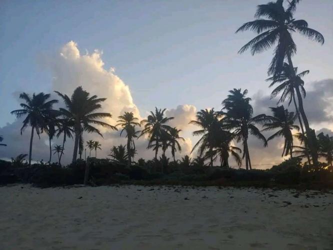 Trópico de ensueño