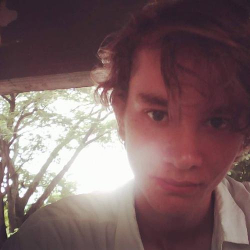 My summer in the park