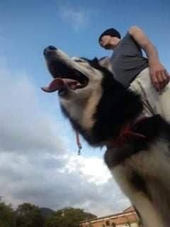 Una tarde en las montañas