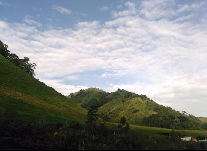 "El Jagüey Santa Apolonia"