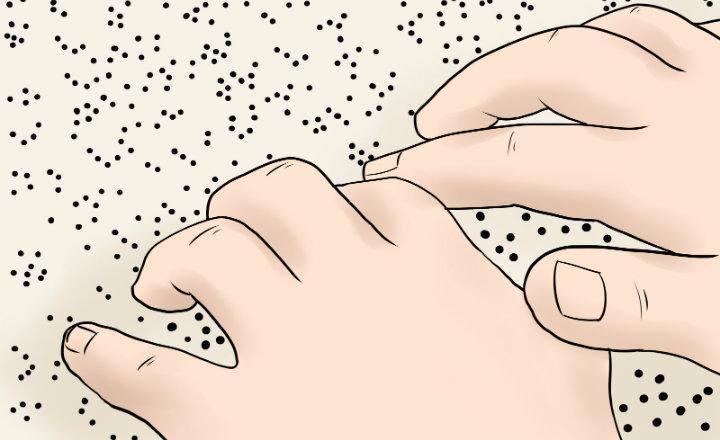 Día Internacional del Braille