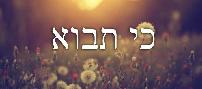 Folgen des Ungehorsams