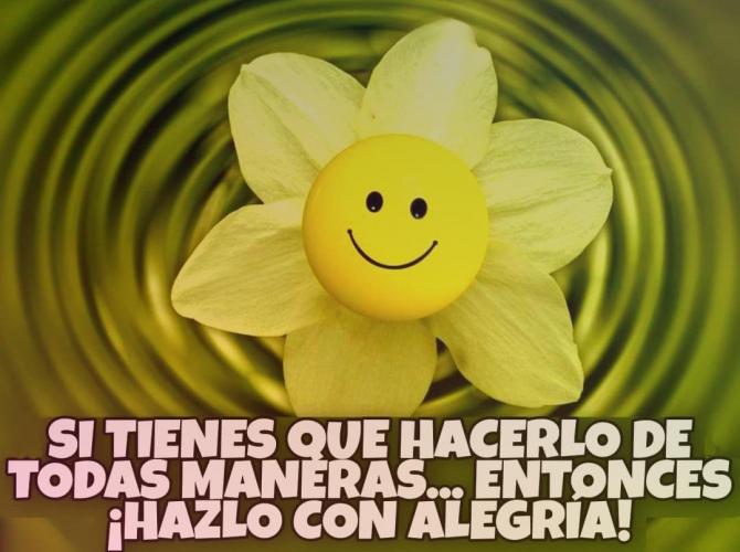 With Joy We Give Strength to Life