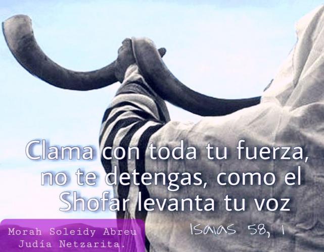 The sound of Shofar 📯📣🎺