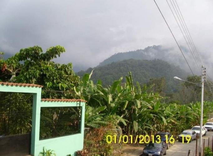 Table of Palmar Trujillo Venezuela
