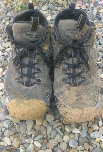 El Servicio Comunitario  