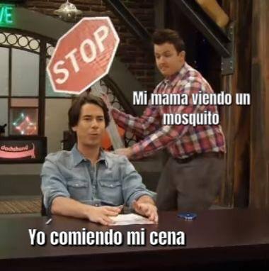 The annoying mosquito.