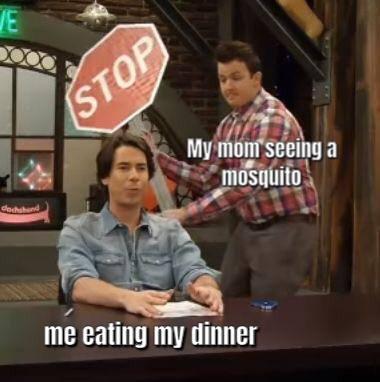 The annoying mosquito.