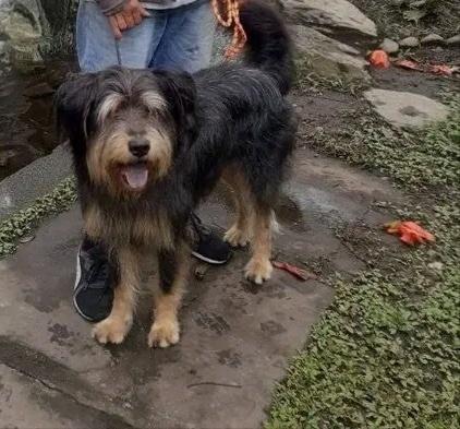 Puedes creer que solo tiene 5 añitos?