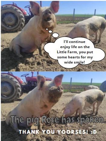 Pig Rose being a messenger :D