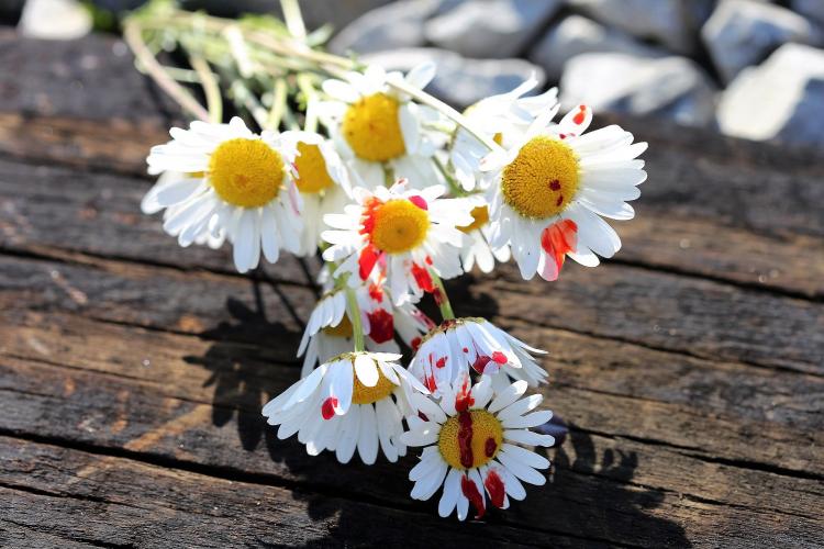 Madres que no lo valen