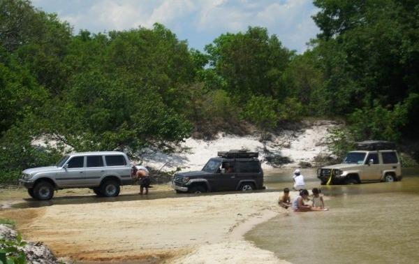 Viajando para Guárico 