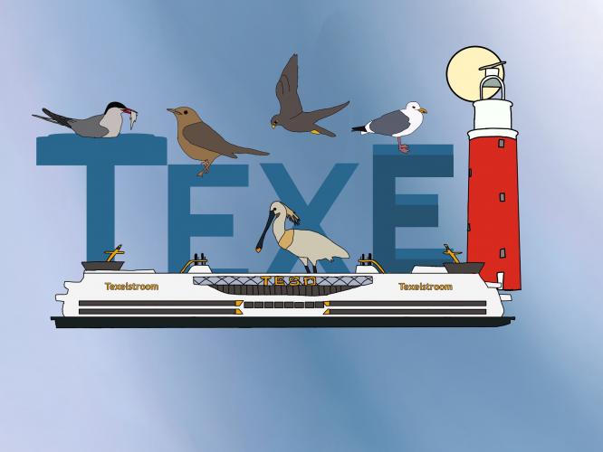 Tekening van Texel