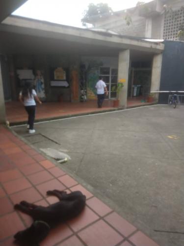 Back to face-to-face classes