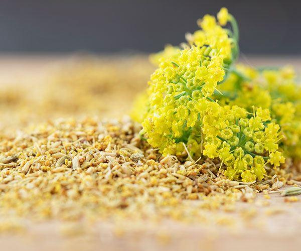 Overactive bladder: the best medicines to treat it 