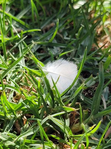 Back from vacations - A week in photos