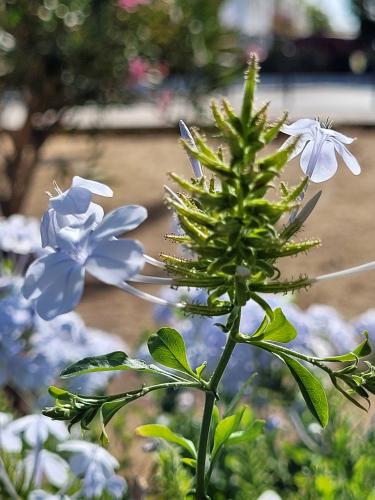 Back from vacations - A week in photos