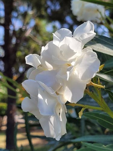 Back from vacations - A week in photos