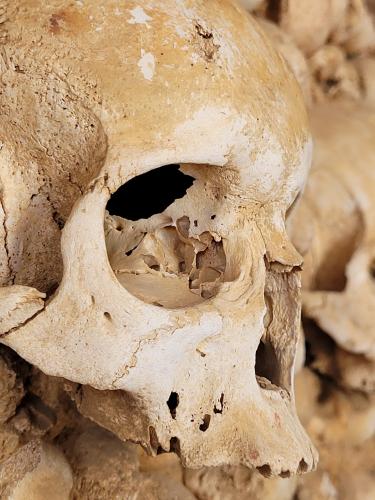 Back from vacations - A week in photos