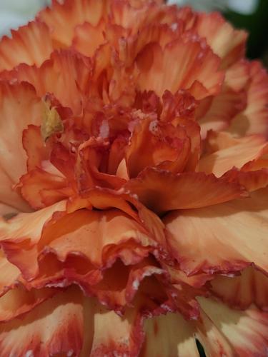 Back from vacations - A week in photos